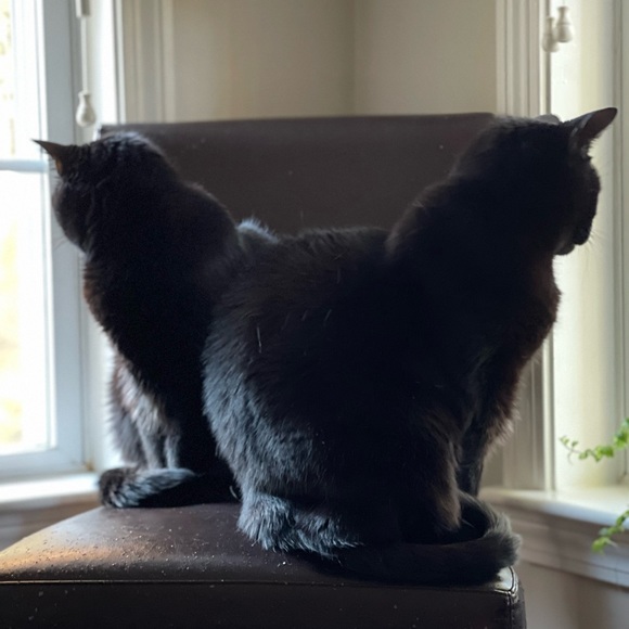 Meet your Posher, Jen - Picture 12 of 14